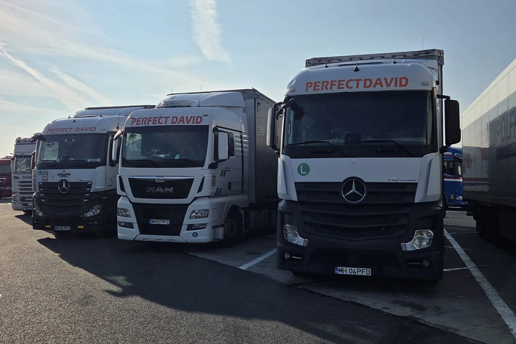 Camioane diverse din flota de transport international a companiei Perfect David
