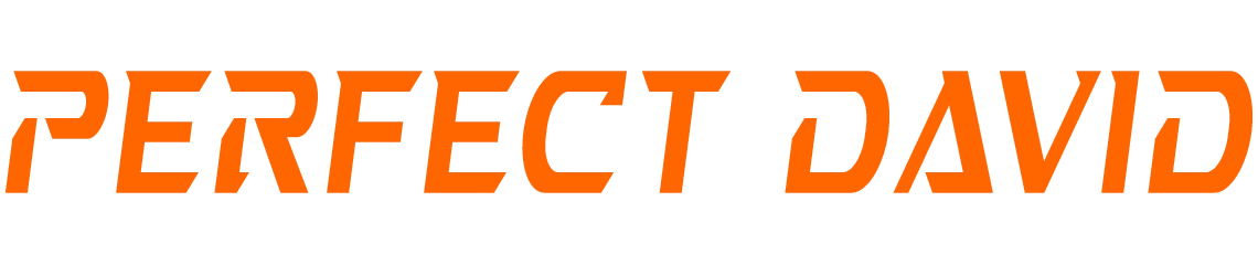 Logo din font pentru firma Perfect David