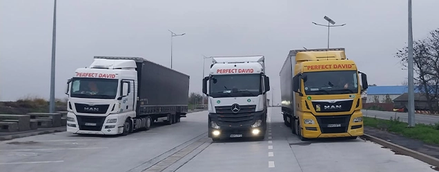 Camioane diverse din flota de transport a firmei Perfect David